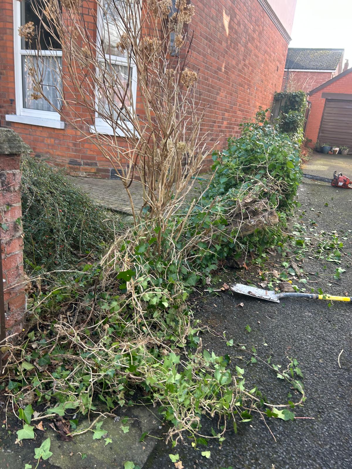 Fencing Installation Belfast work example 4