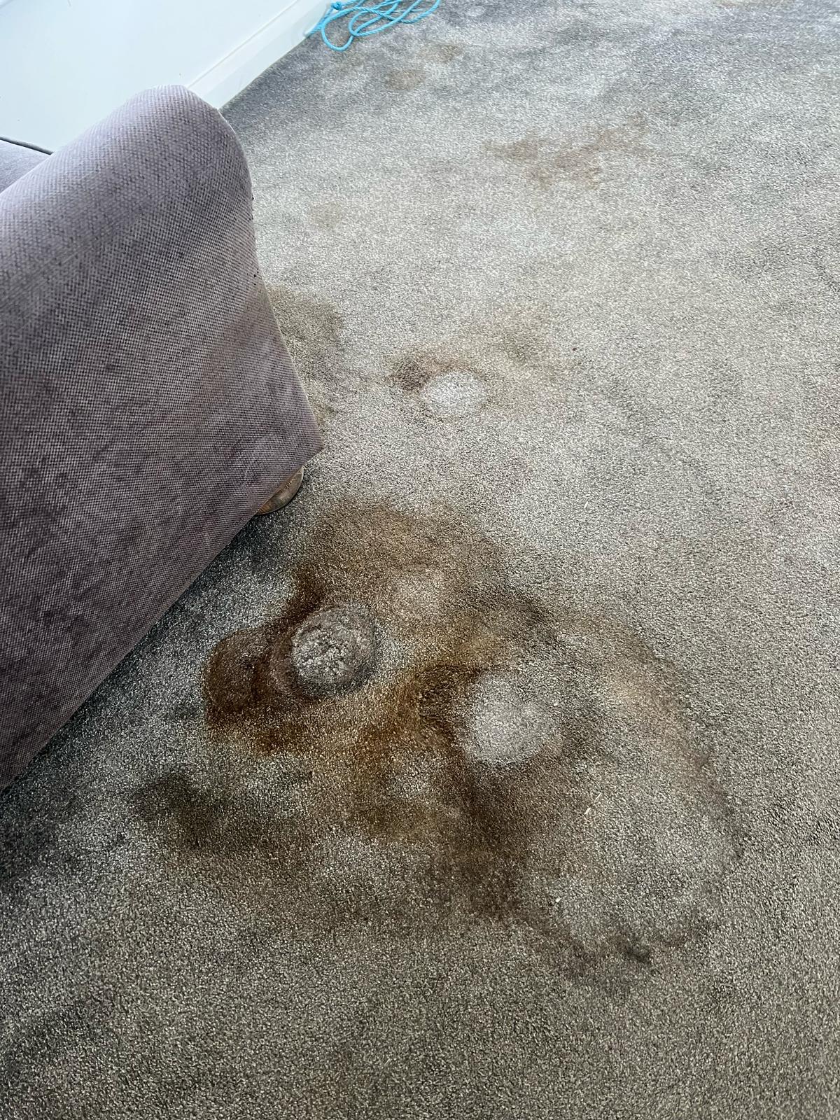 Deep Cleaning Belfast work example 6