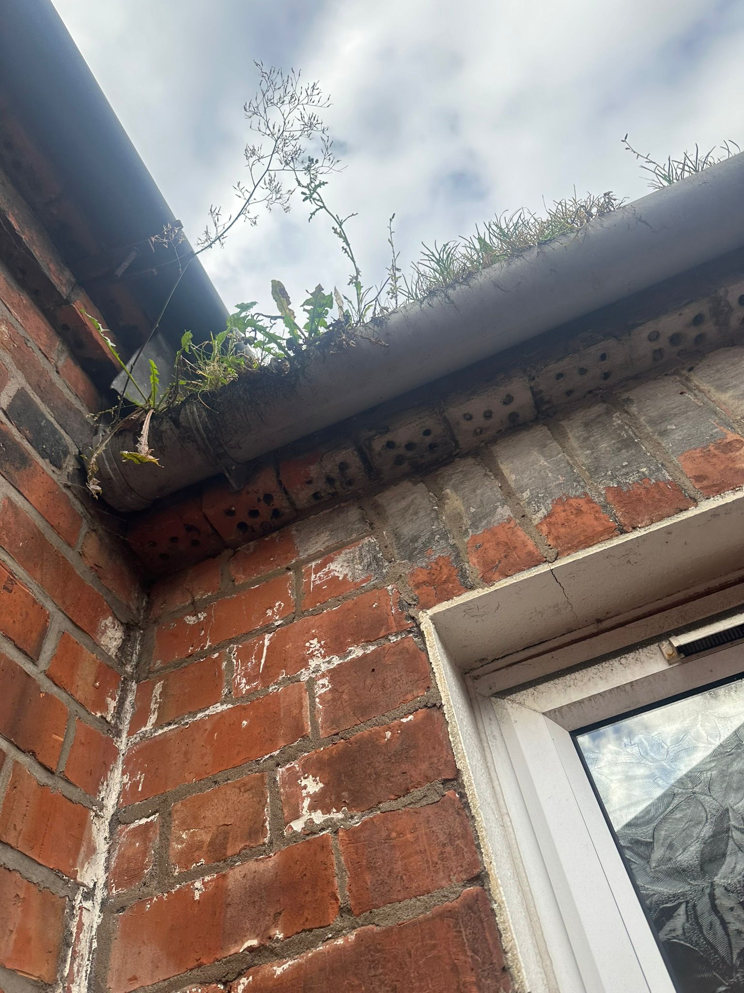 Gutter clearance service