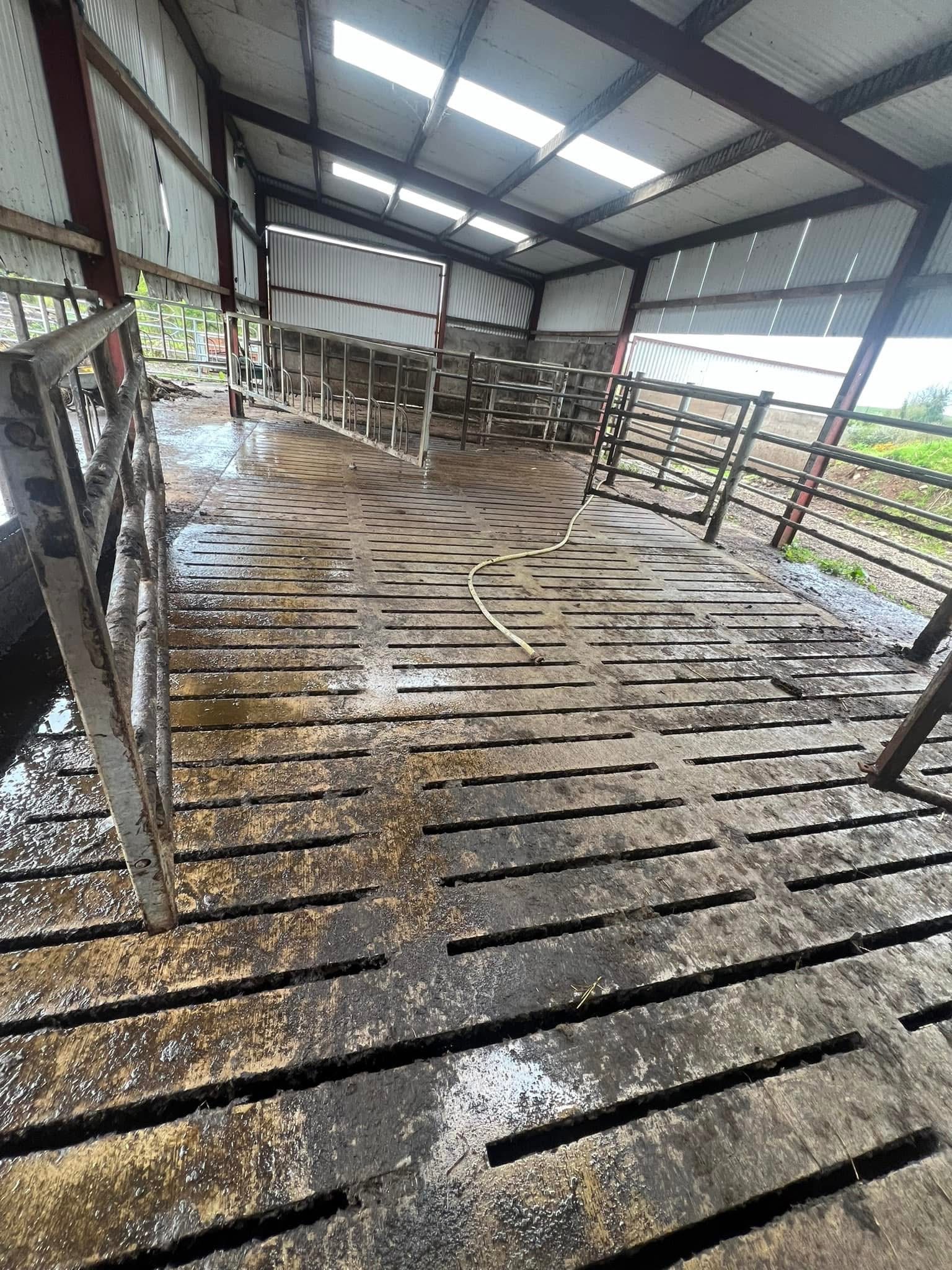 Professional pressure washing