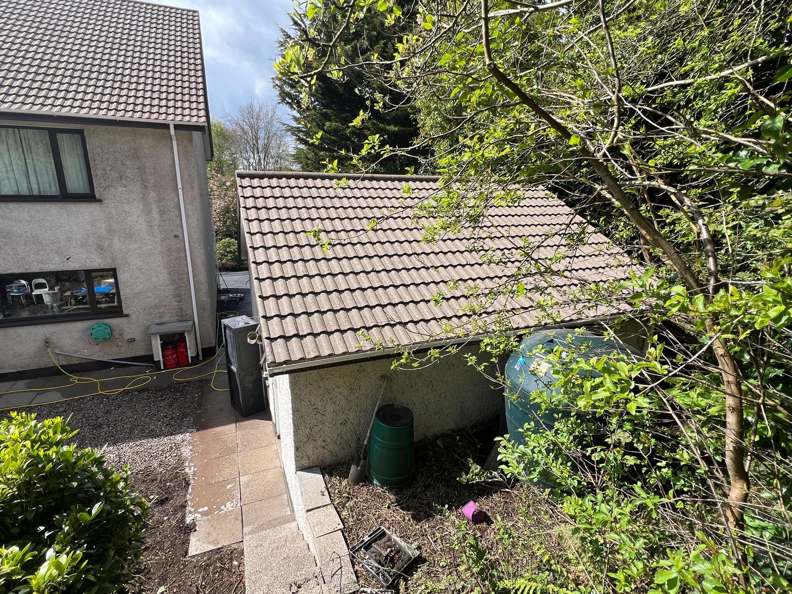 Moss removal from roof