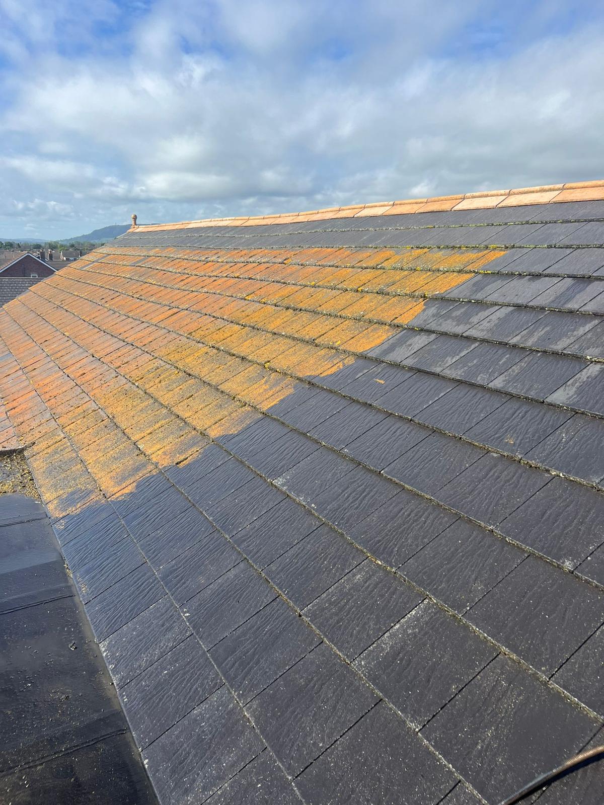 Roof Cleaning Belfast work example 9